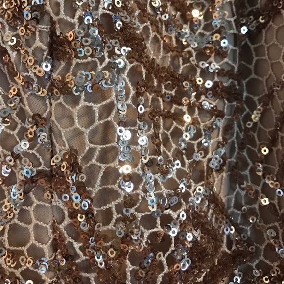 Formal blush maxi with rose gold embellishment - Picture 5 of 5